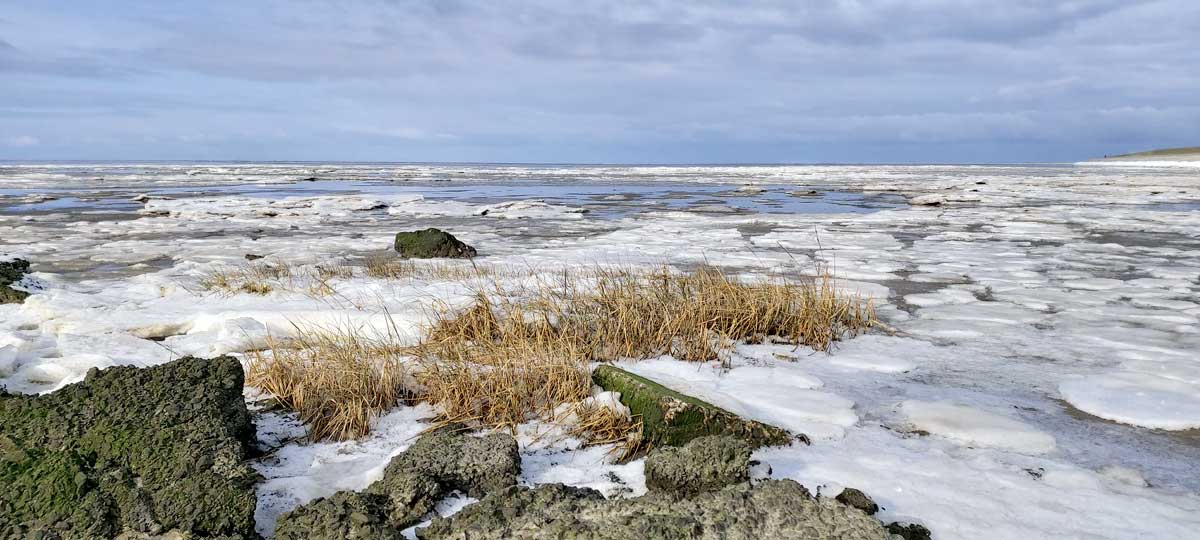 nordsee 2021 1