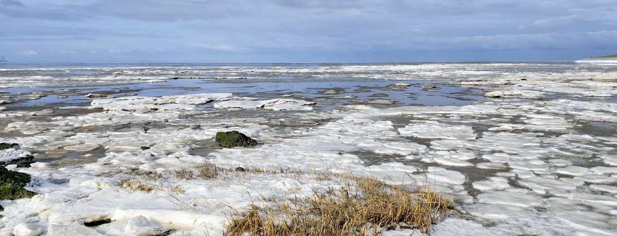 nordsee 2021 2